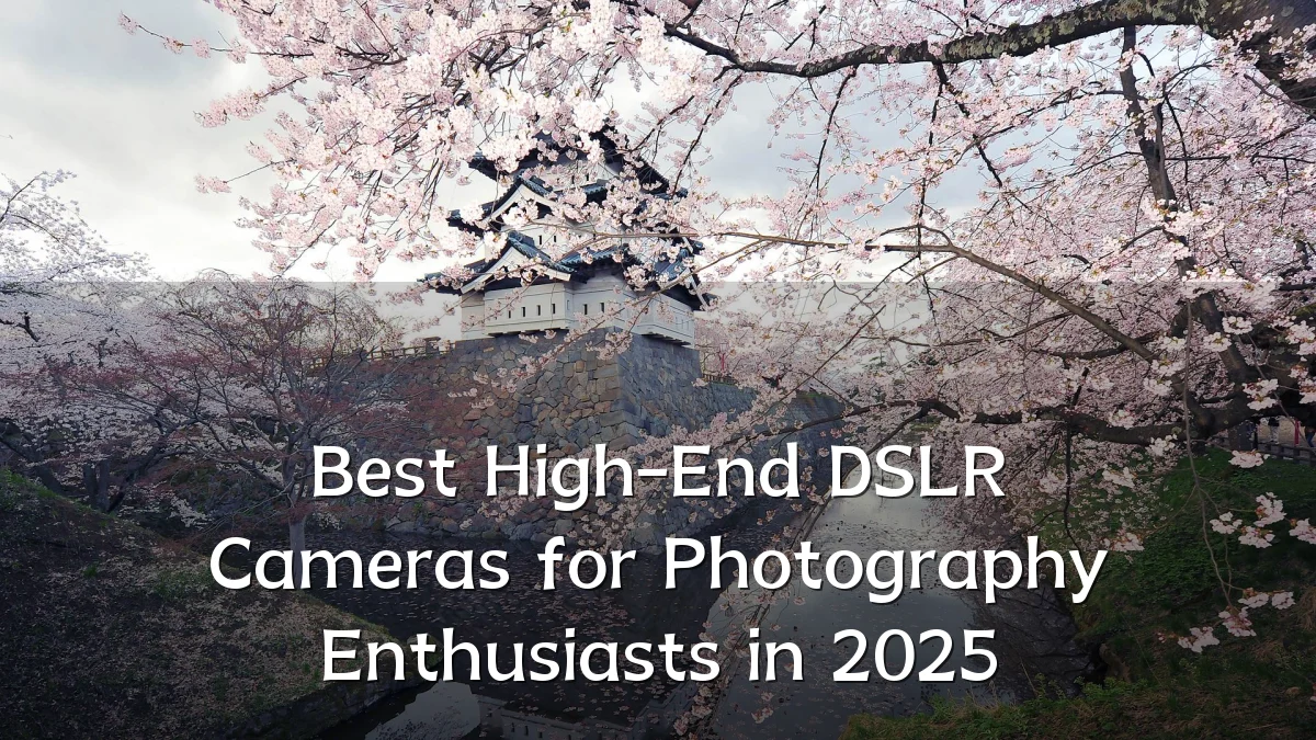 Best High-End DSLR Cameras for Photography Enthusiasts in 2025