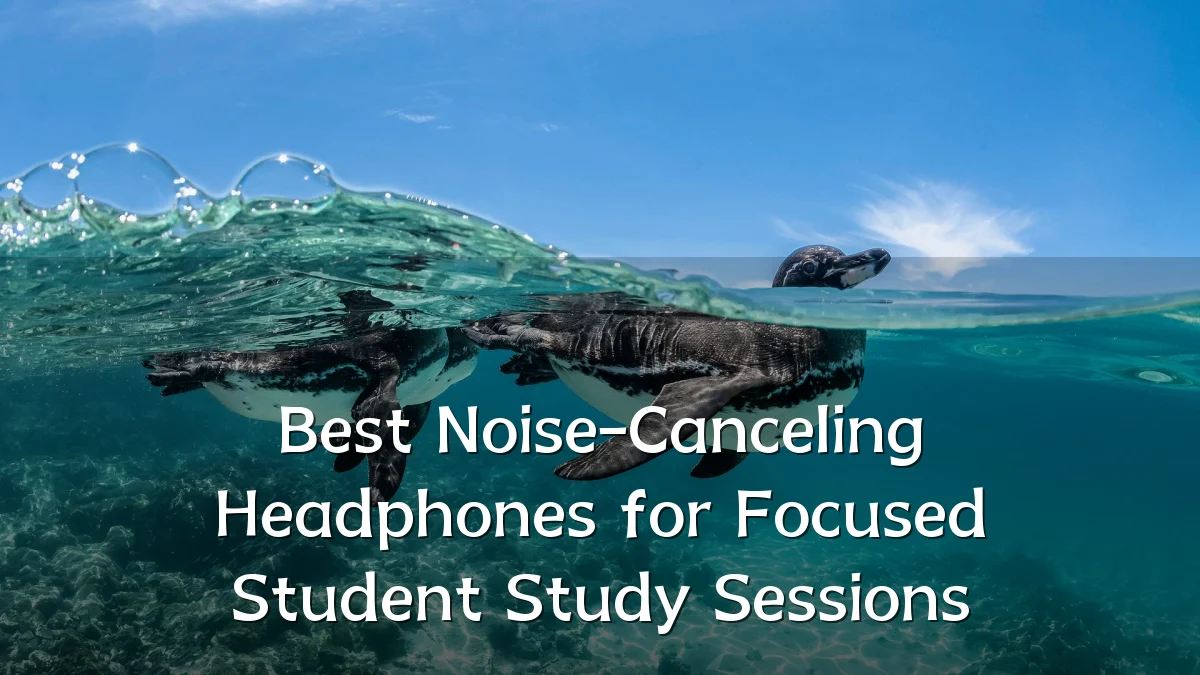 Best Noise-Canceling Headphones for Focused Student Study Sessions