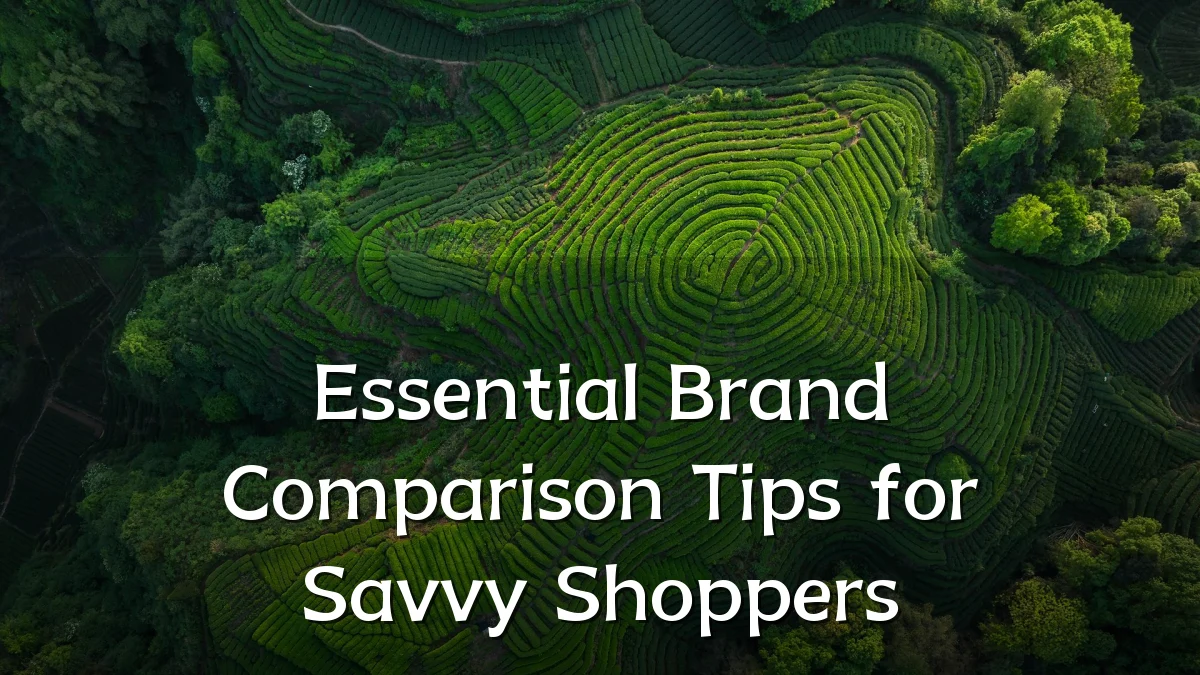 Essential Brand Comparison Tips for Savvy Shoppers