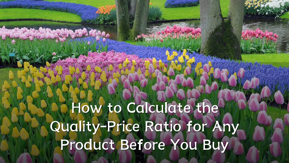 How to Calculate the Quality-Price Ratio for Any Product Before You Buy
