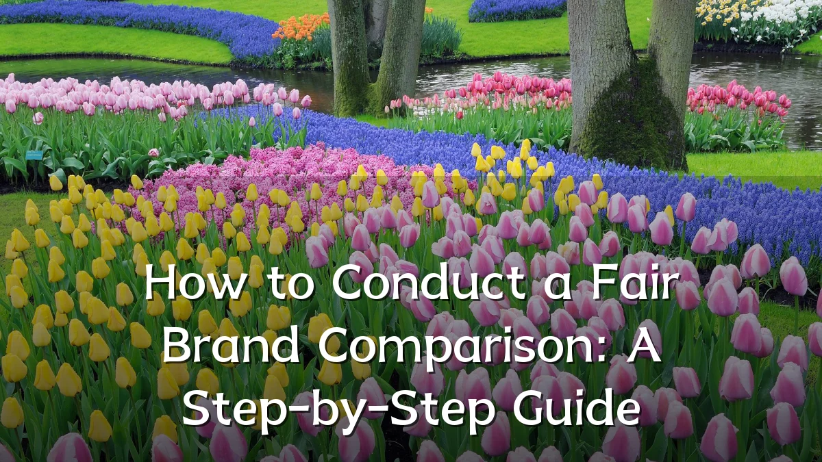 How to Conduct a Fair Brand Comparison: A Step-by-Step Guide