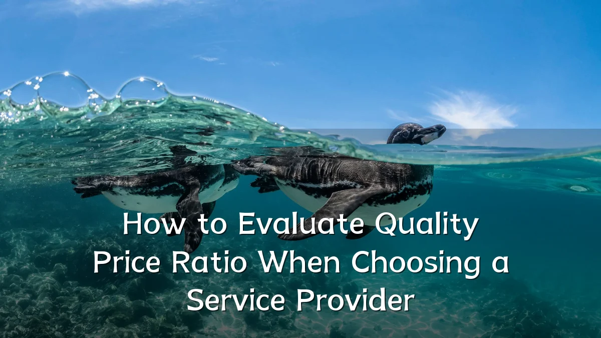 How to Evaluate Quality Price Ratio When Choosing a Service Provider