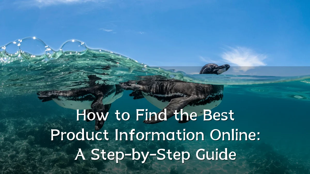 How to Find the Best Product Information Online: A Step-by-Step Guide