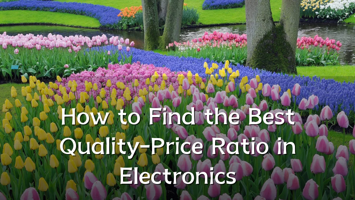 How to Find the Best Quality-Price Ratio in Electronics