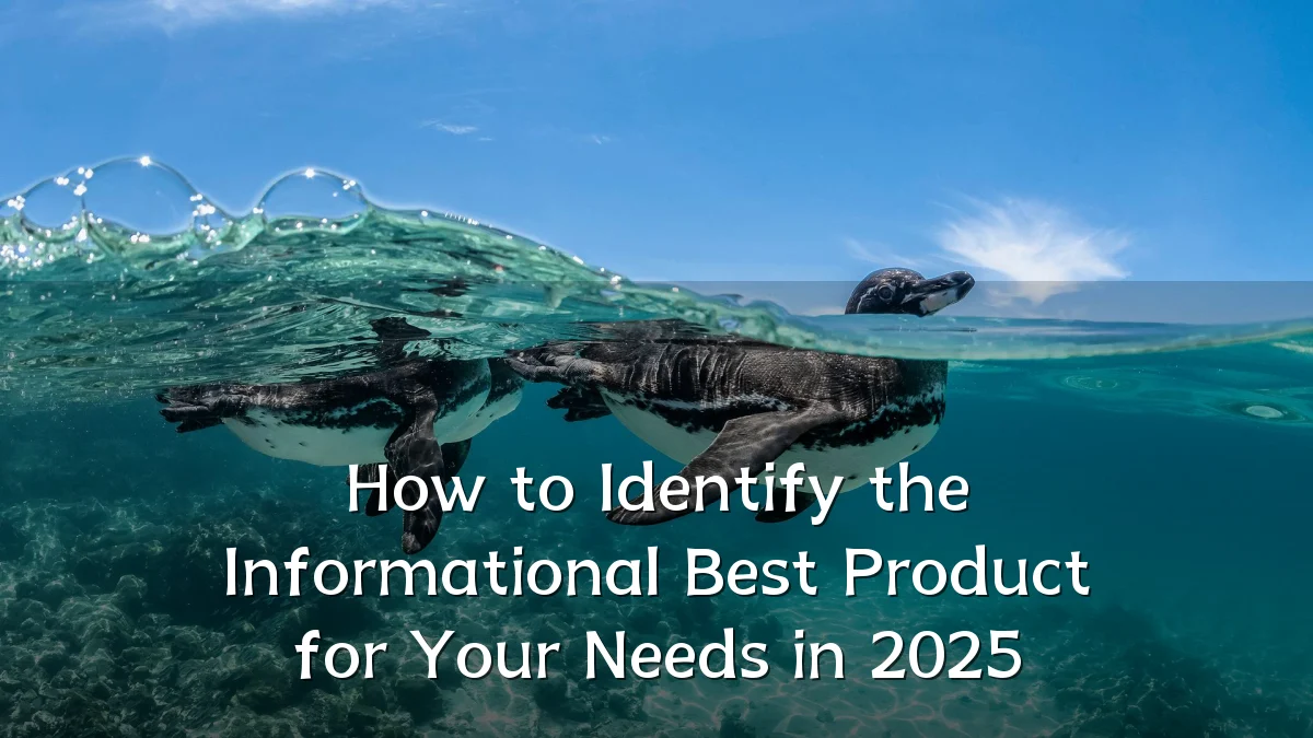 How to Identify the Informational Best Product for Your Needs in 2025