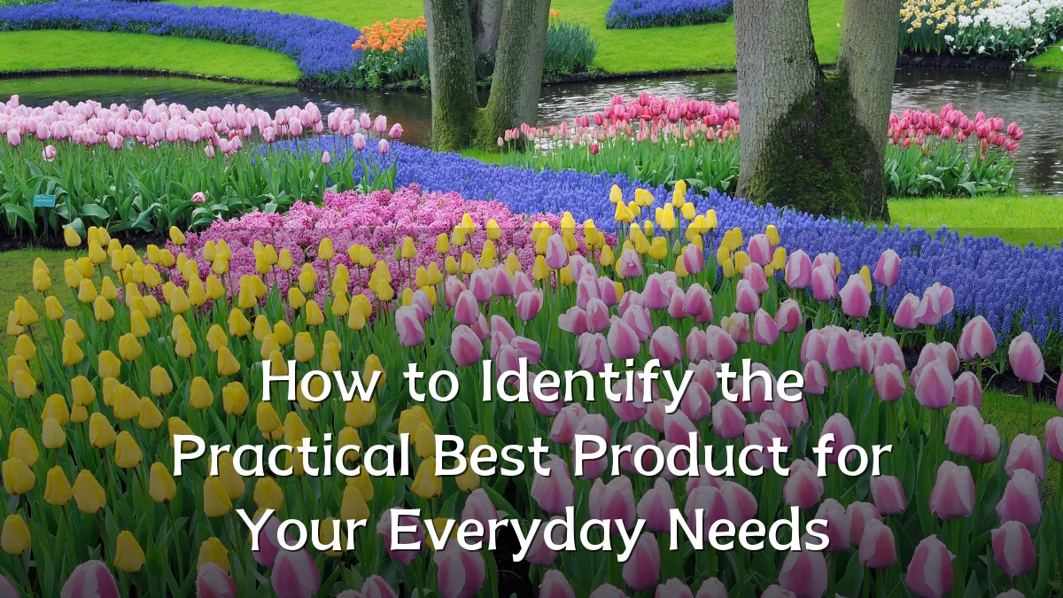 How to Identify the Practical Best Product for Your Everyday Needs