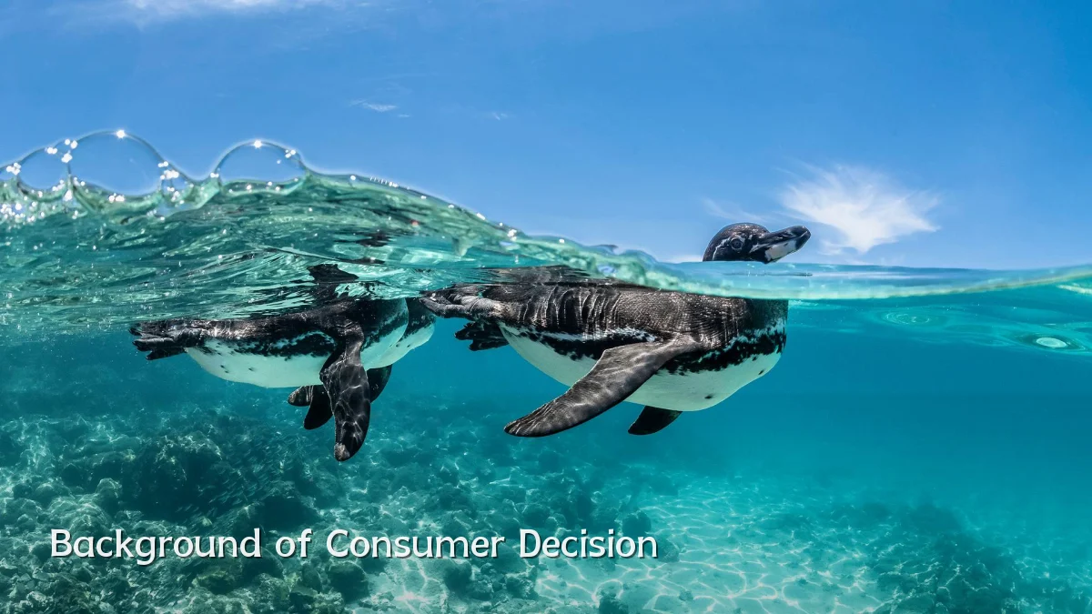 Background of Consumer Decision