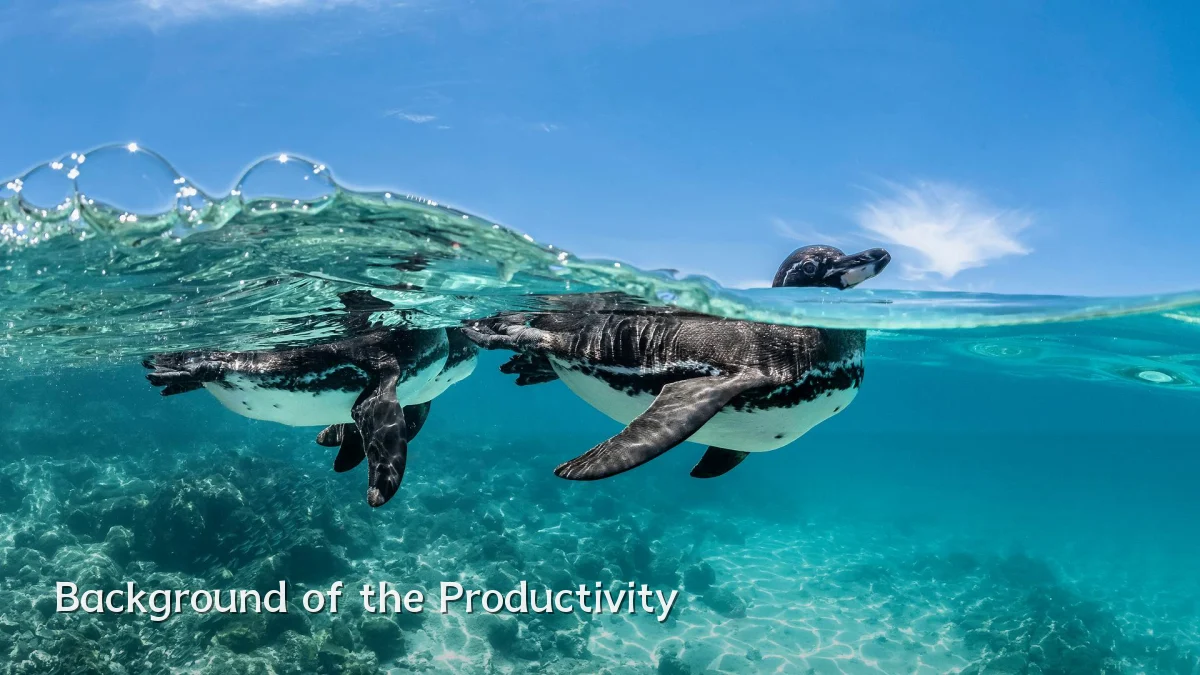 Background of the Productivity