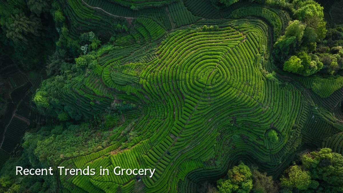 Recent Trends in Grocery