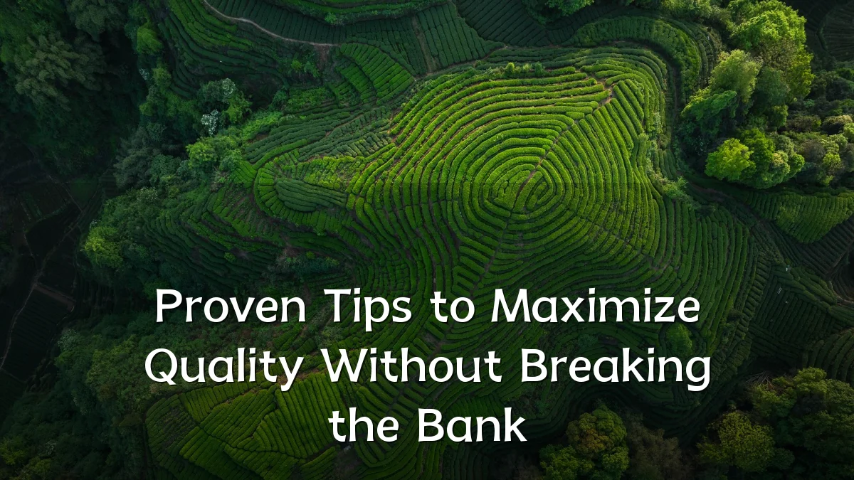 Proven Tips to Maximize Quality Without Breaking the Bank
