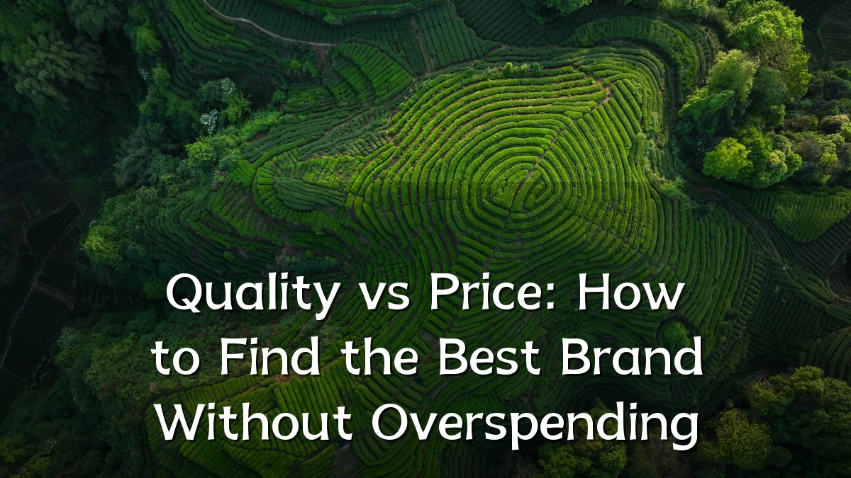 Quality vs Price: How to Find the Best Brand Without Overspending