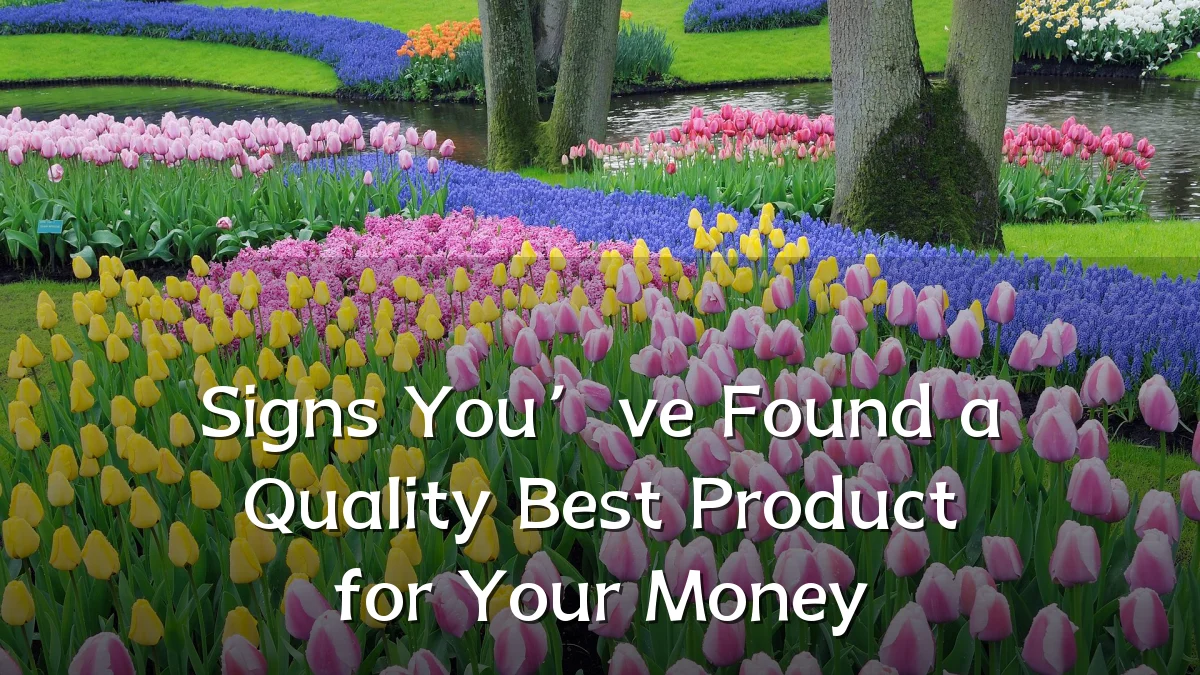 Signs You’ve Found a Quality Best Product for Your Money