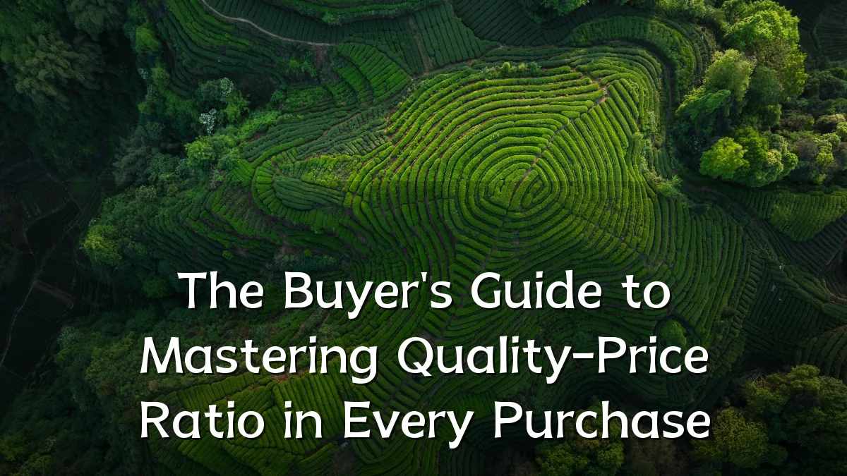 The Buyer's Guide to Mastering Quality-Price Ratio in Every Purchase