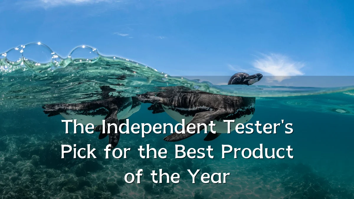 The Independent Tester's Pick for the Best Product of the Year