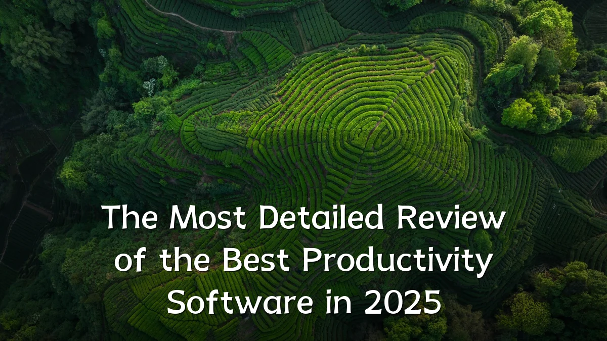 The Most Detailed Review of the Best Productivity Software in 2025