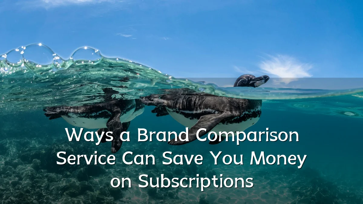 Ways a Brand Comparison Service Can Save You Money on Subscriptions