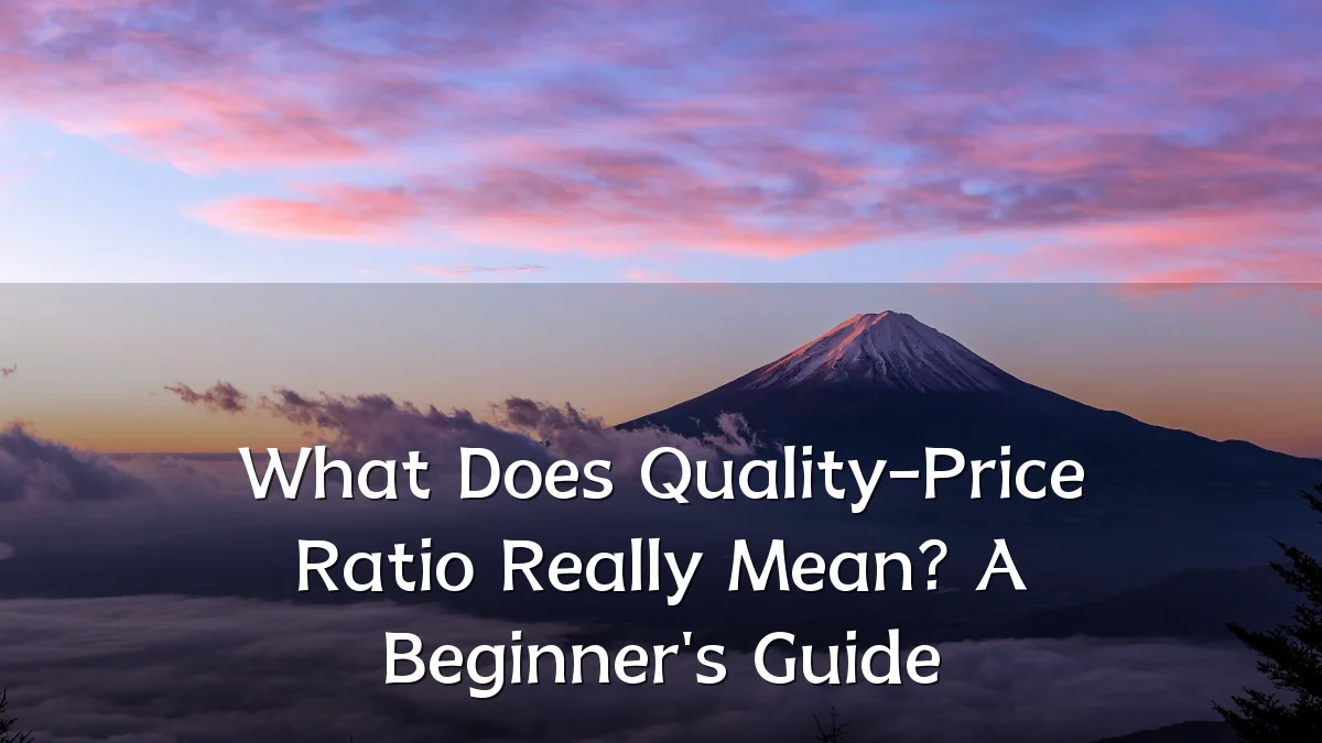 What Does Quality-Price Ratio Really Mean? A Beginner's Guide