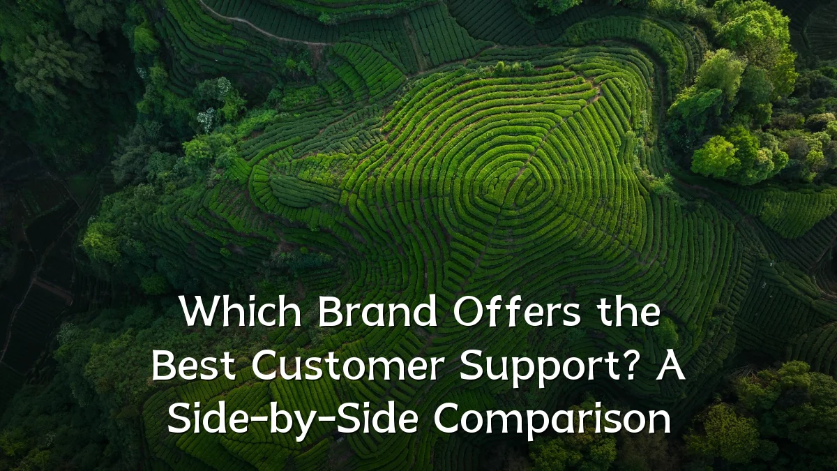 Which Brand Offers the Best Customer Support? A Side-by-Side Comparison