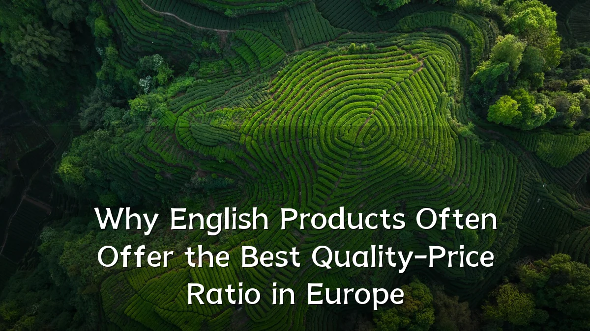 Why English Products Often Offer the Best Quality-Price Ratio in Europe