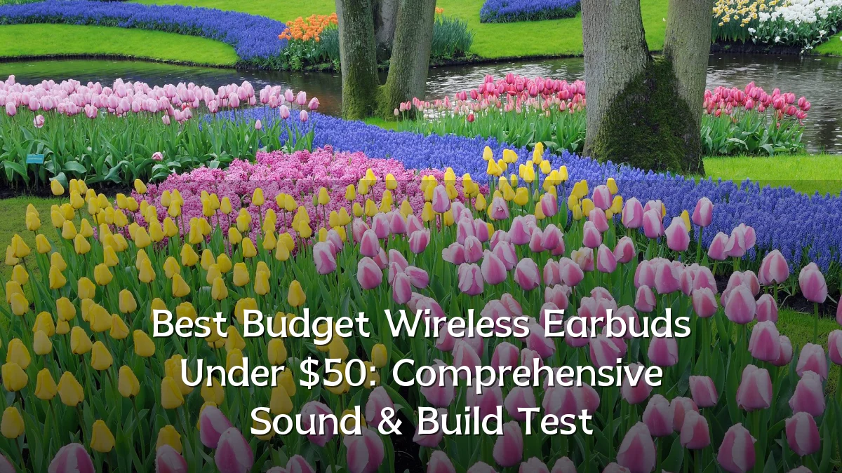 Best Budget Wireless Earbuds Under $50: Comprehensive Sound & Build Test