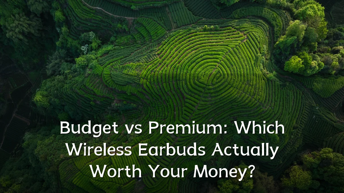 Budget vs Premium: Which Wireless Earbuds Actually Worth Your Money?