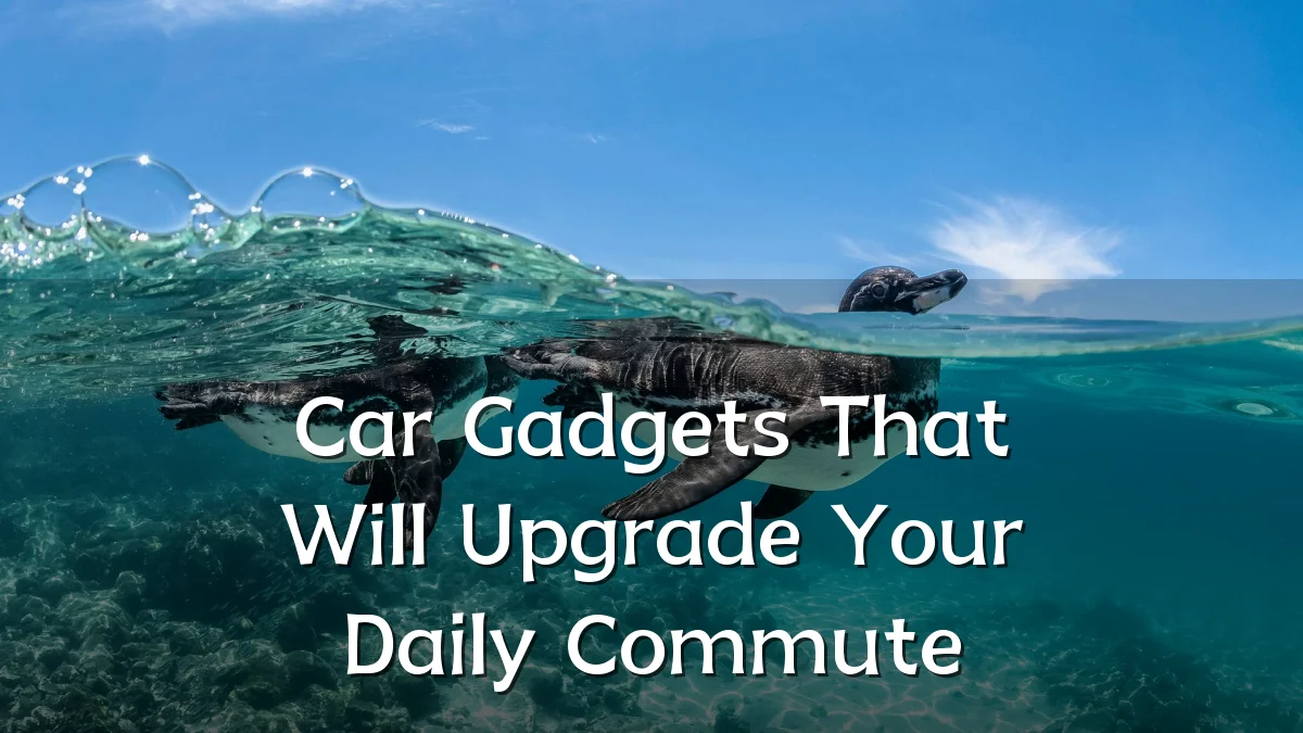 Car Gadgets That Will Upgrade Your Daily Commute