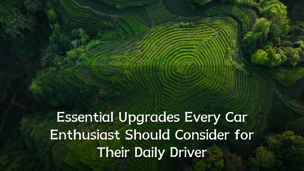 Essential Upgrades Every Car Enthusiast Should Consider for Their Daily Driver