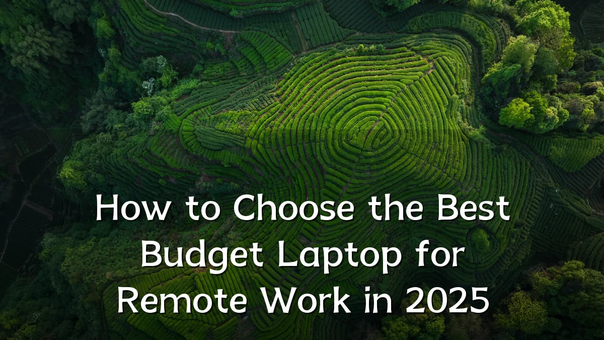 How to Choose the Best Budget Laptop for Remote Work in 2025