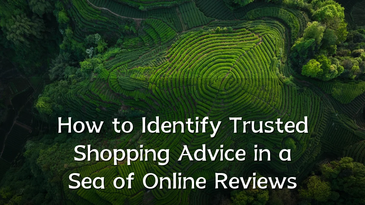 How to Identify Trusted Shopping Advice in a Sea of Online Reviews