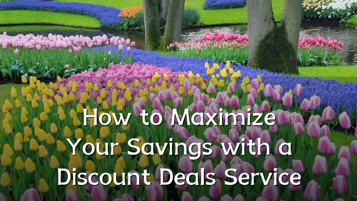 How to Maximize Your Savings with a Discount Deals Service