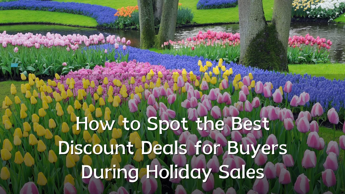 How to Spot the Best Discount Deals for Buyers During Holiday Sales
