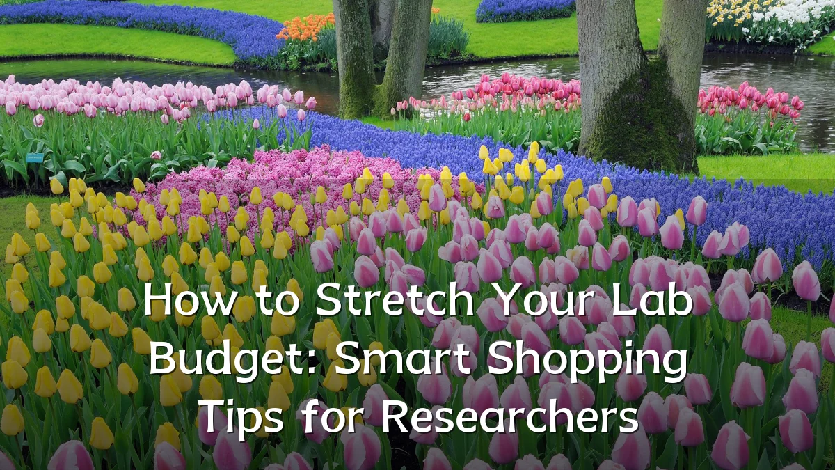 How to Stretch Your Lab Budget: Smart Shopping Tips for Researchers