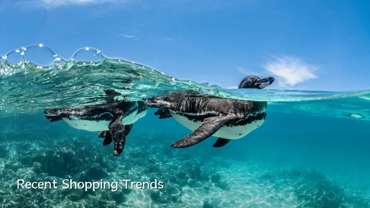 Recent Shopping Trends