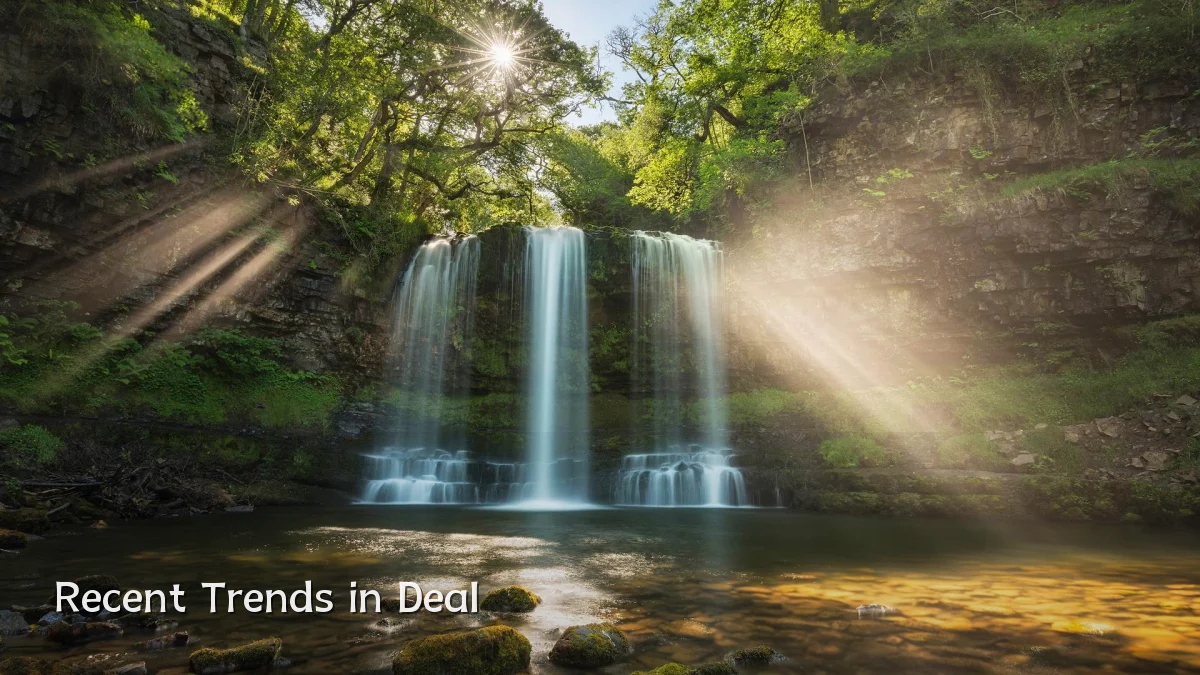 Recent Trends in Deal