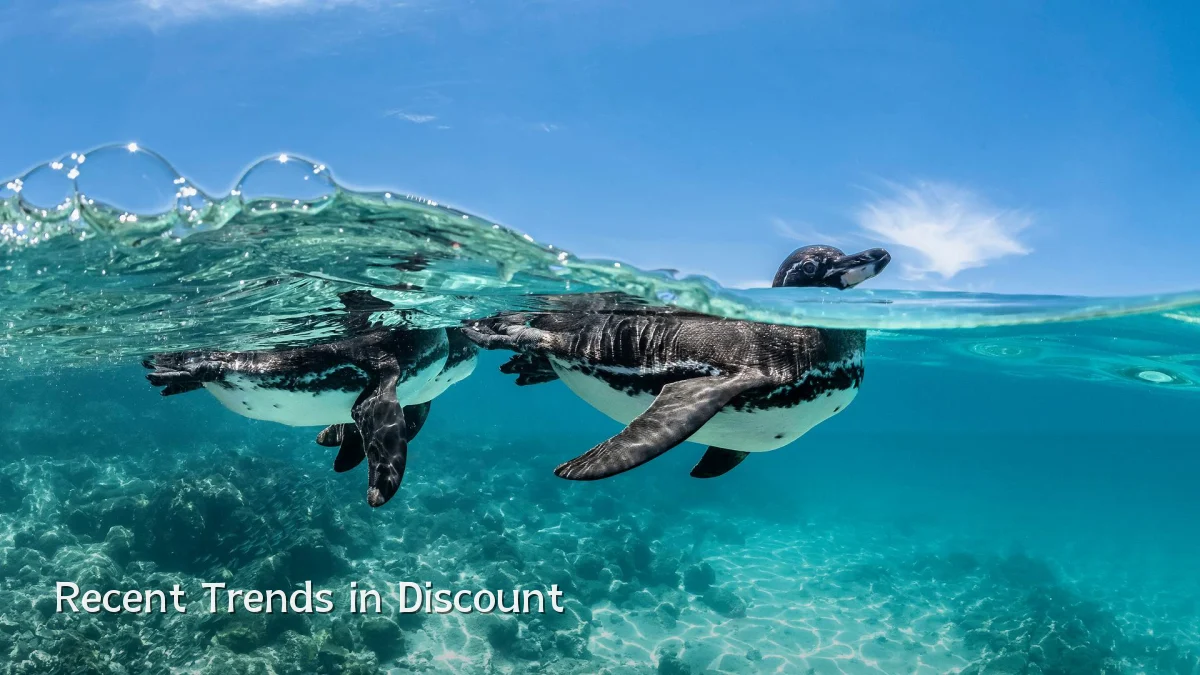 Recent Trends in Discount