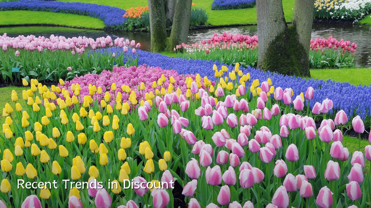 Recent Trends in Discount