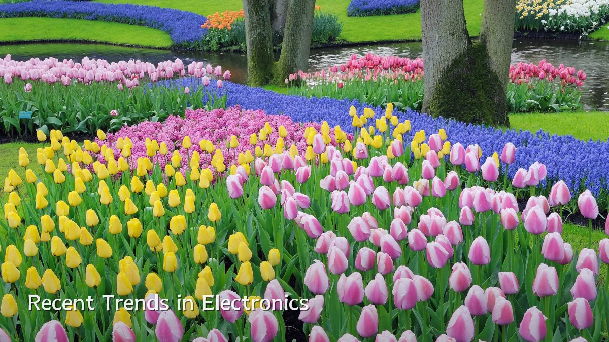 Recent Trends in Electronics