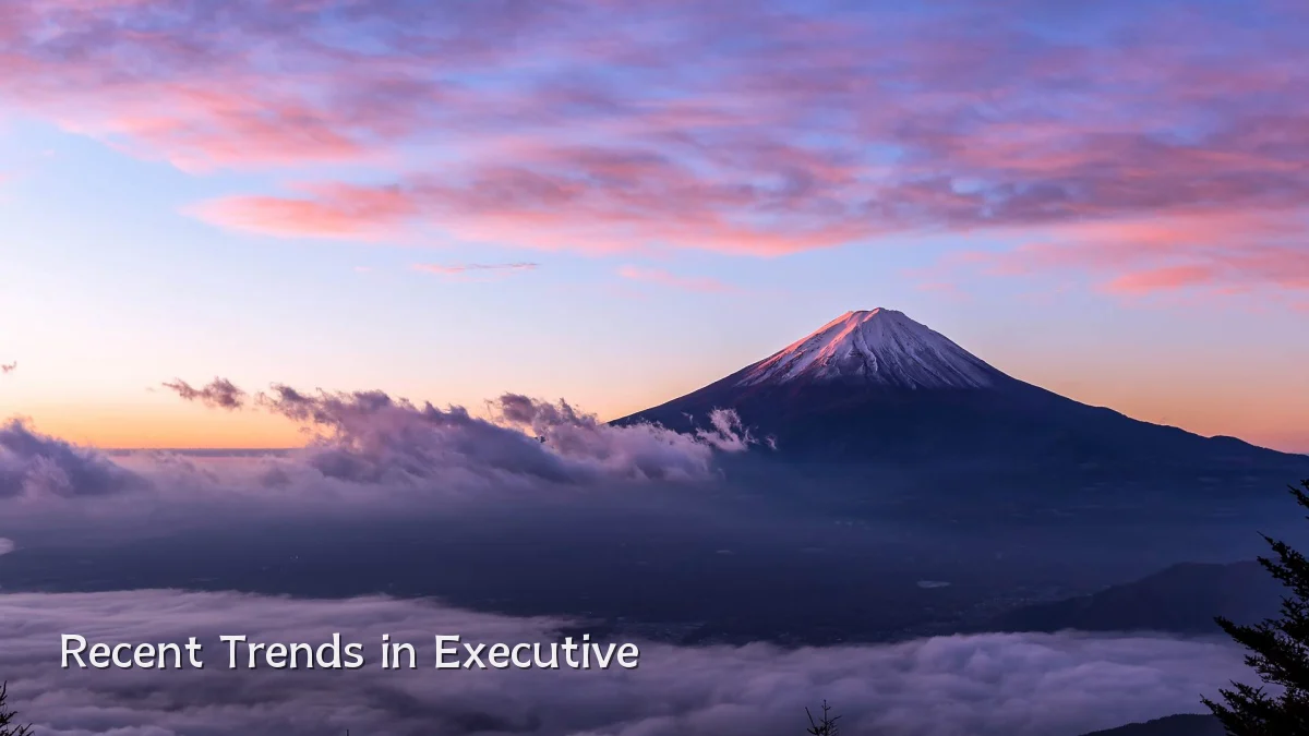 Recent Trends in Executive