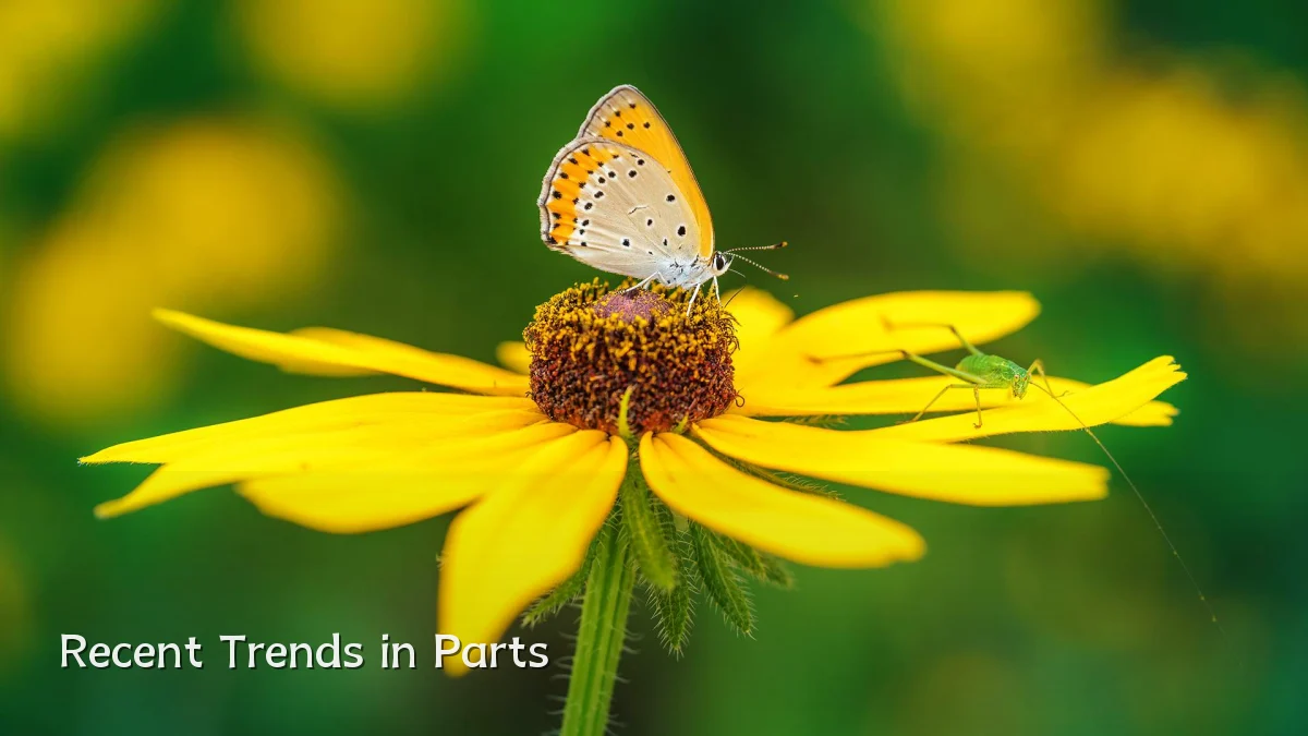 Recent Trends in Parts
