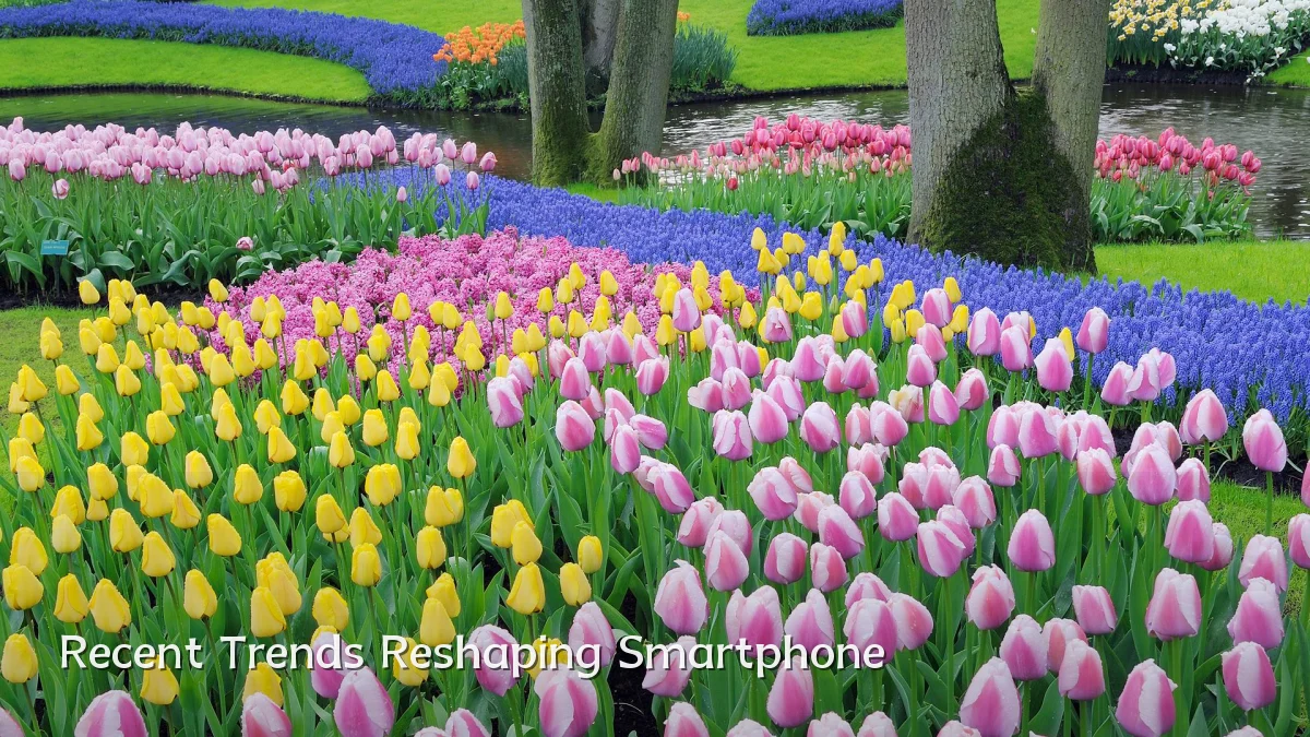 Recent Trends Reshaping Smartphone