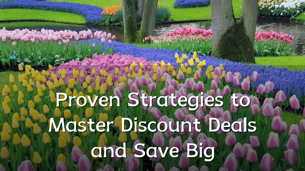 Proven Strategies to Master Discount Deals and Save Big