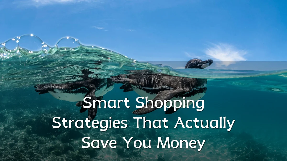 Smart Shopping Strategies That Actually Save You Money