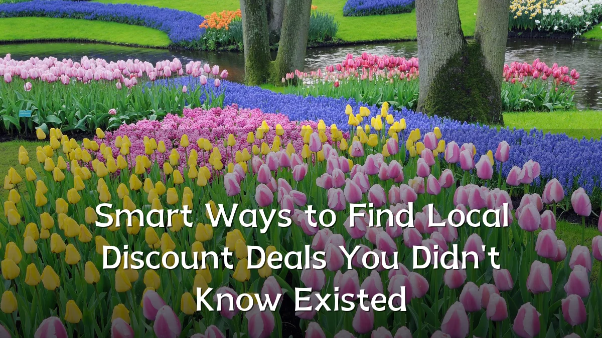 Smart Ways to Find Local Discount Deals You Didn't Know Existed