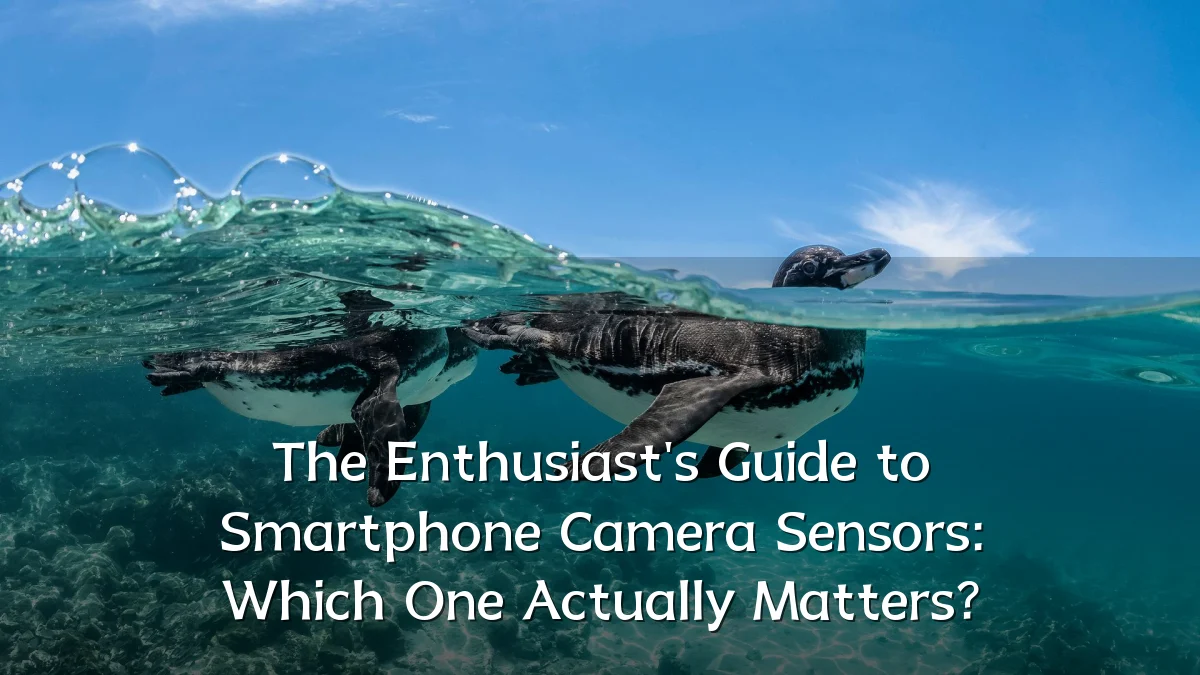 The Enthusiast's Guide to Smartphone Camera Sensors: Which One Actually Matters?