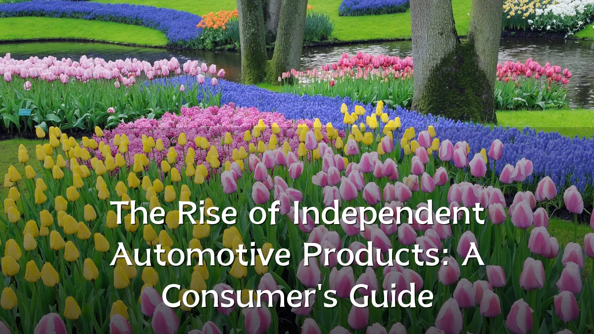 The Rise of Independent Automotive Products: A Consumer's Guide
