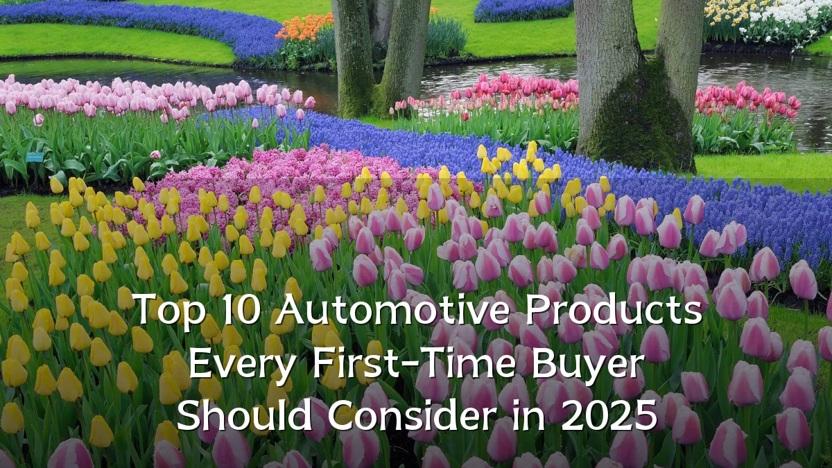 Top 10 Automotive Products Every First-Time Buyer Should Consider in 2025