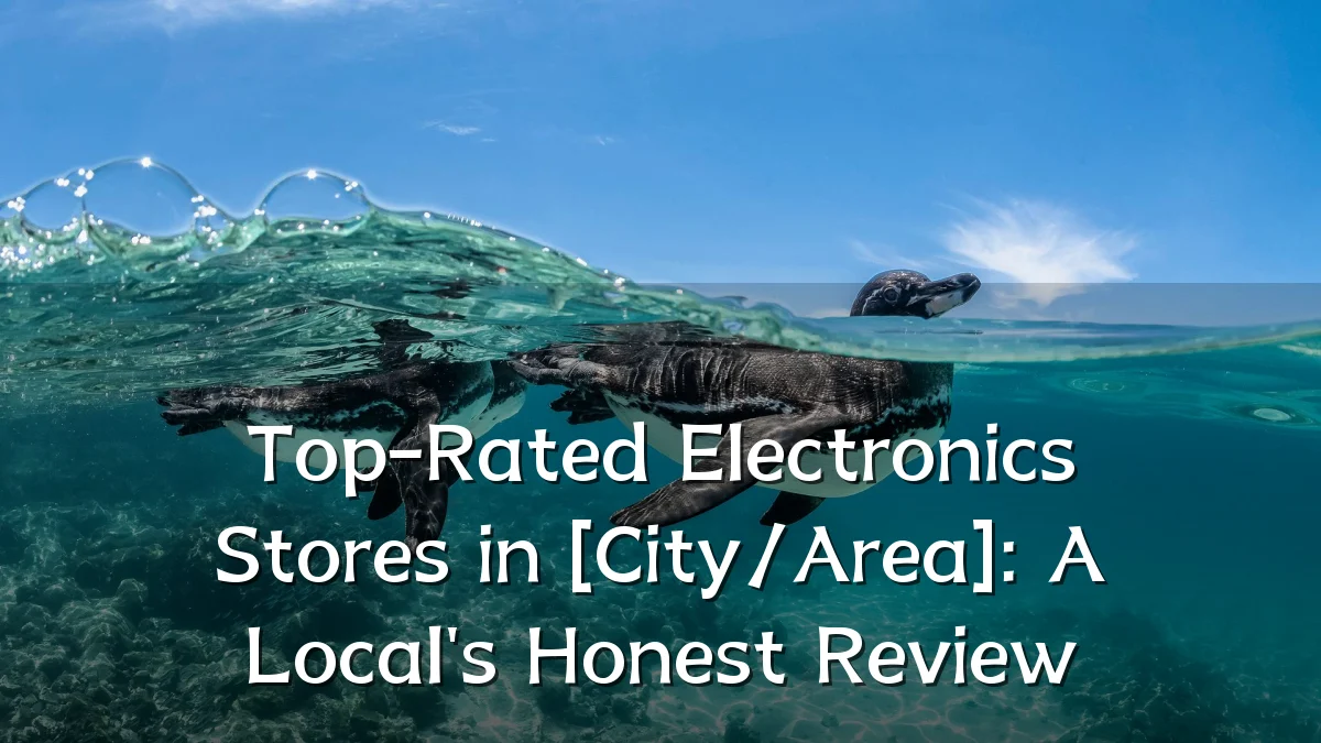 Top-Rated Electronics Stores in [City/Area]: A Local's Honest Review