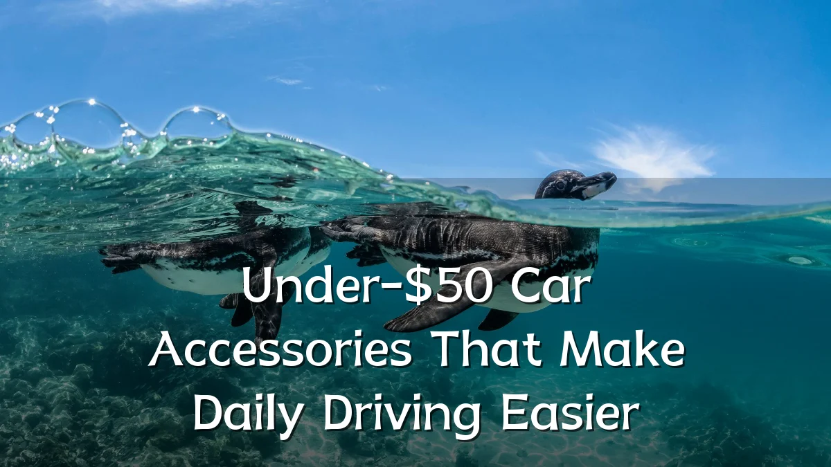 Under-$50 Car Accessories That Make Daily Driving Easier