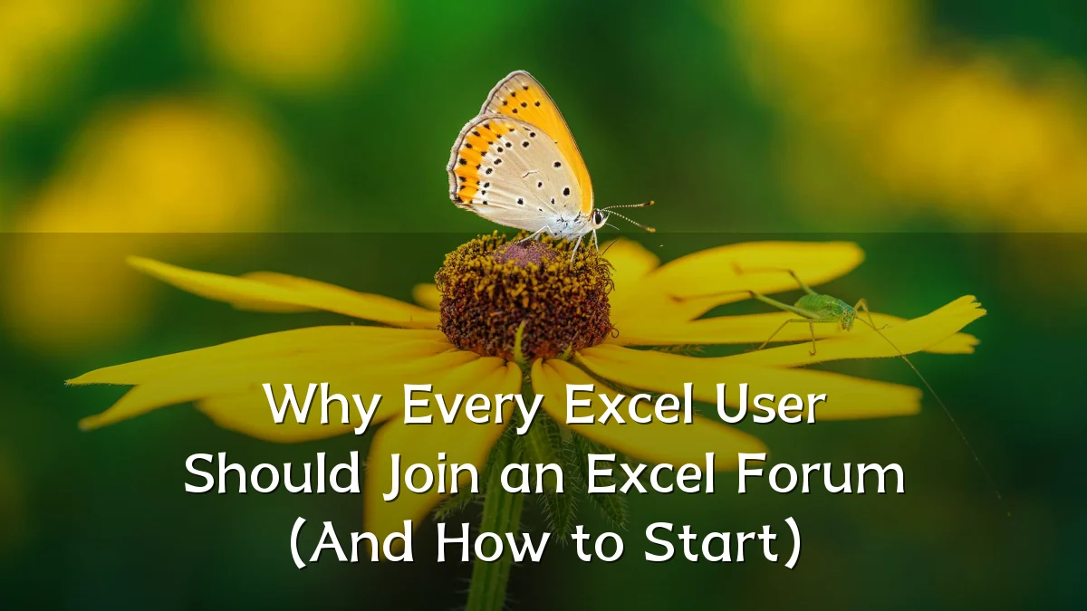 Why Every Excel User Should Join an Excel Forum (And How to Start)